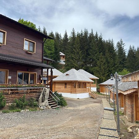 Andolia Villa Moeciu De Sus Ngoại thất bức ảnh